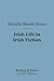 Irish Life in Irish Fiction by Horatio Sheafe Krans