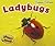 Ladybugs (Creepy Critters)