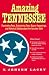 Amazing Tennessee: Fascinating Facts, Entertaining Tales, Bizarre Happenings, and Historical Oddities about the Volunteer State