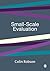 Small-Scale Evaluation: Principles and Practice