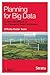 Planning for Big Data