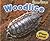 Woodlice