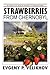 Strawberries from Chernobyl by Evgeny P. Velikhov
