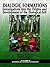 Dialogic Formations: Investigations Into the Origins and Development of the Dialogical Self (Advances in Cultural Psychology: Constructing Human Developm)
