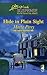 Hide in Plain Sight (The Three Sisters Inn, #1)