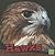 Hawks (First Facts: Birds)