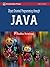 Object Oriented Programming Through Java by P. Radha Krishna