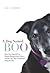 A Dog Named Boo: How One Dog and One Woman Rescued Each Other - and the Lives They Transformed Along the Way