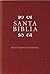 Holy Bible: Nueva Version I...