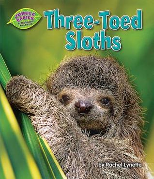 Three-Toed Sloths (Jungle Babies of the Amazon Rain Forest)