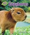 Capybaras (Jungle Babies of the Amazon Rain Forest)