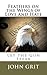 Feathers On the Wings Of Love and Hate by John Grit