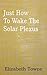 Just How To Wake The Solar Plexus