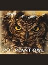 Pot Plant Owl by Allan Eccles
