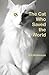 The Cat Who Saved the World