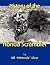 History of the Honda Scrambler by William Silver