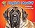 English Mastiff: The World’s Heaviest Dog (Even More SuperSized!)