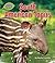 South American Tapirs