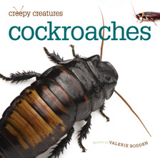 Cockroaches (Creepy Creatures)
