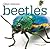 Beetles (Creepy Creatures)