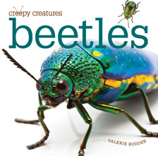 Beetles (Creepy Creatures)