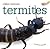 Termites (Creepy Creatures)