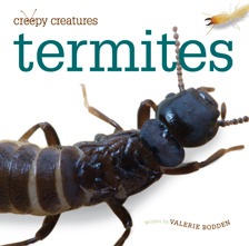 Termites (Creepy Creatures)
