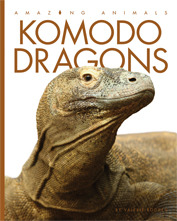 Komodo Dragons (Amazing Animals)