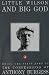 Little Wilson and Big God by Anthony Burgess Little Wilson and Big God by Anthony Burgess