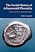 The Social History of Achaemenid Phoenicia (BibleWorld)