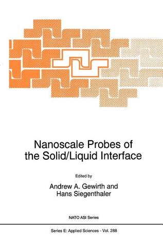 Nanoscale Probes of the Solid/Liquid Interface (NATO Science Series E:)