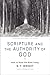Scripture and the Authority of God: How to Read the Bible Today