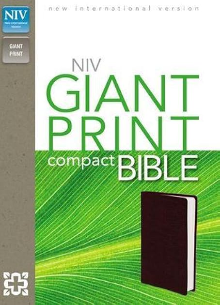 NIV Giant Print Compact Bible