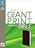 NIV Giant Print Compact Bible by Anonymous