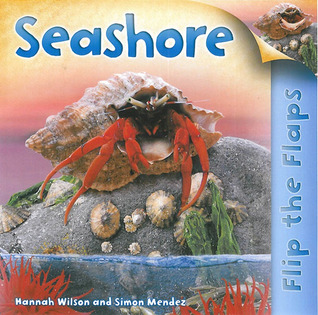 Flip The Flaps: Seashore: Seashore (Hardcover)