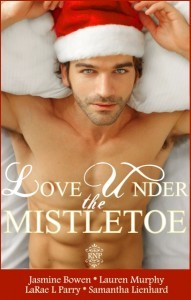 Love Under The Mistletoe