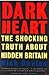 Dark Heart by Nick Davies