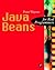 Java Beans for Real Program...