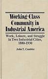Working-Class Community in Industrial America: Work, Leisure, and Struggle in Two Industrial Cities, 1880$1930 (Contributions in Labor Studies)