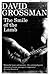 The Smile of the Lamb by David Grossman