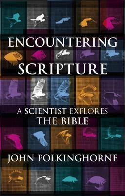 Encountering Scripture (Paperback)