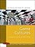 Game Cultures: Computer Gam...