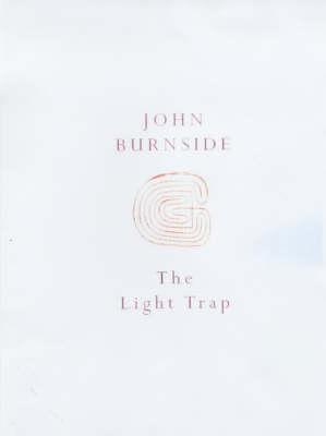 The Light Trap (Paperback)