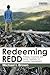 Redeeming REDD