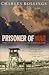 Prisoner of War: Voices From Captivity During the Second World War