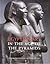 Egyptian Art in the Age of the Pyramids