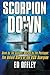 Scorpion Down by Ed Offley