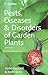 Pests, Diseases & Disorders...