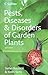 Pests, Diseases & Disorders of Garden Plants by Stefan Buczacki