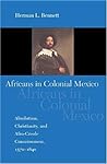 Africans in Colonial Mexico by Herman L. Bennett